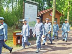 -黄海国家森林公园