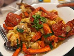 -食为先(Shark Fin)