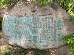 -嘉定紫藤园