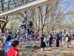 -长白岛森林公园