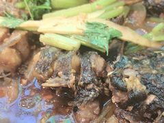 -老板恋上鱼(印象城店)