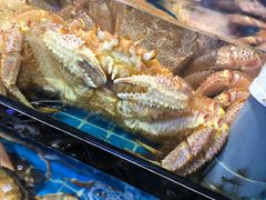 -吉友粥底火锅(方斜路店)