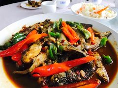 -天乐农家鱼头王(天目湖店)