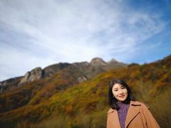 -秦岭风景区
