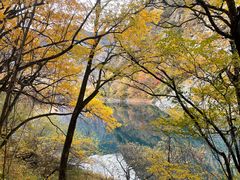 -叠溪松坪沟景区