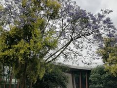 -张坝桂圆林公园