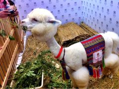 iphone_upload_pic-东浩兰生上海世博展览馆