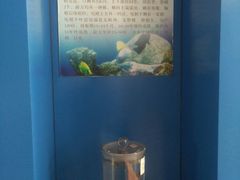 -上海海洋大学鱼文化博物馆(军工路校区)