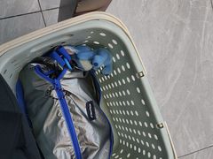 -百年老字号·观振兴蟹黄面·三虾面·苏式面(观前街富仁坊巷店)