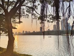 -南宁南湖公园