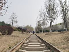 -永定河休闲森林公园