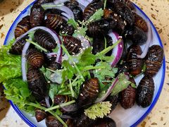 蚕蛹-老范地摊烧烤(阳光金地园店)