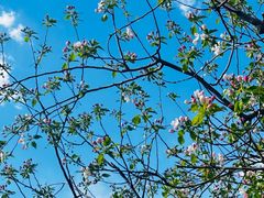 -春晖园度假酒店温泉