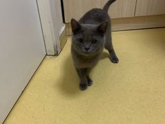 -芭比堂动物医院·犬猫全科·异宠专科(雁塔分院)