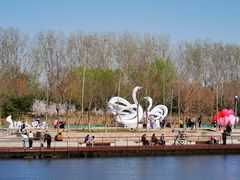 -东郊湿地公园