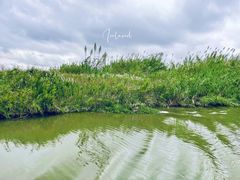 -宁波杭州湾国家湿地公园