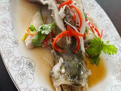 -田螺阿姨自营月嫂·育儿嫂(高新店)