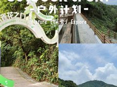 -广州市帽峰山景区