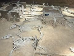 -洛阳周王城天子驾六博物馆