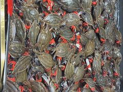-半岛听涛蒸汽海鲜自助(K11店)