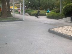 -兰溪青年公园