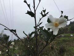 -南漈山