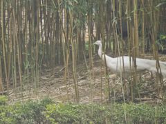 -藏龙百瀑漂流