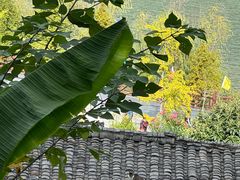 -后柳水乡