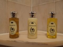 -新加坡文华东方酒店