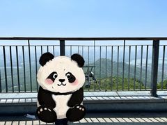 -紫金山山顶公园