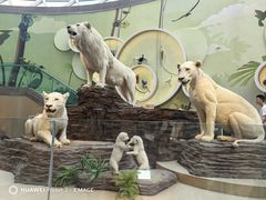 -陕西自然博物馆