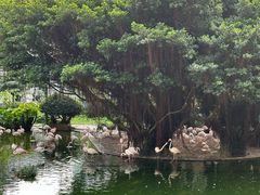 -九龙公园