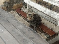 -西涌国际滨海旅游区