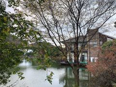 -白马涧龙池景区