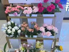 -海底捞大排档火锅(悦荟广场店)