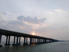 -宝安西湾红树林湿地公园