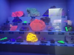 -湖南省地质博物馆