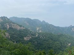 -大岭沟猕猴桃谷风景区