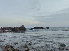 -小麦岛公园