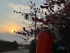 -杏花村文化旅游区
