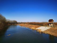 -东郊湿地公园
