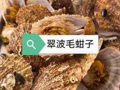 -小叶大馅饺子城