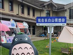 -长白山万达国际度假区