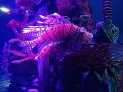 -沈阳海洋探索中心