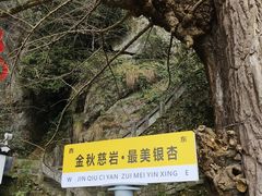 -大慈岩风景区