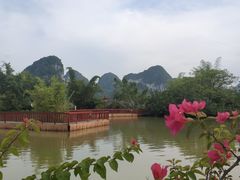 -靖西鹅泉风景区