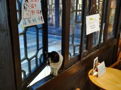 -猫的天空之城概念书店(杭州南宋御街店)