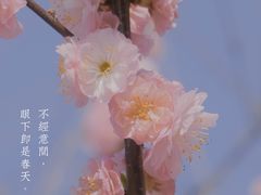 -汉江公园