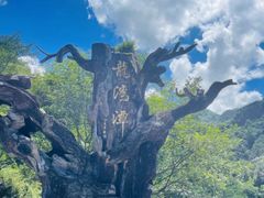 -龙湾潭国家森林公园