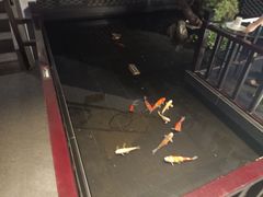 -徽州小镇(高新店)
